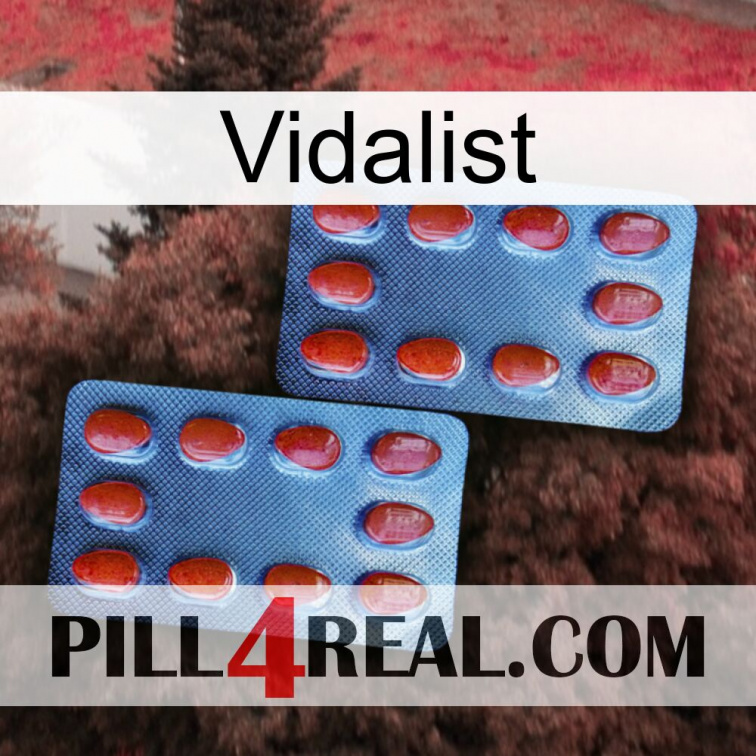 Vidalist 05